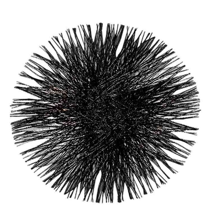 Sous-plat dent-de-lion noir d40 cm