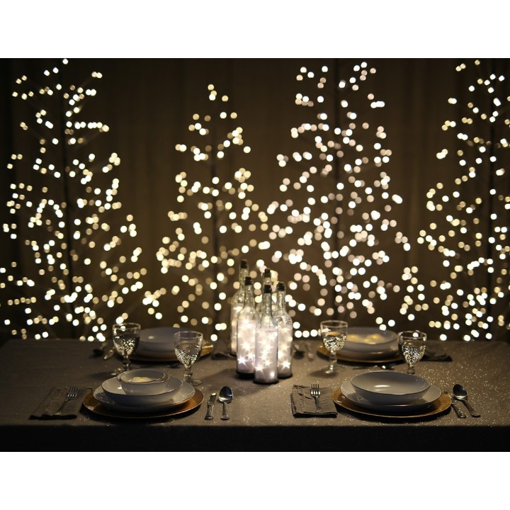 10 led lights transparent bottle white color d8 h28 cm