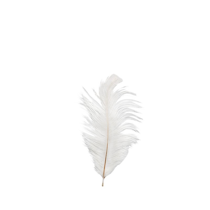 White ostrich feather 1 8cm