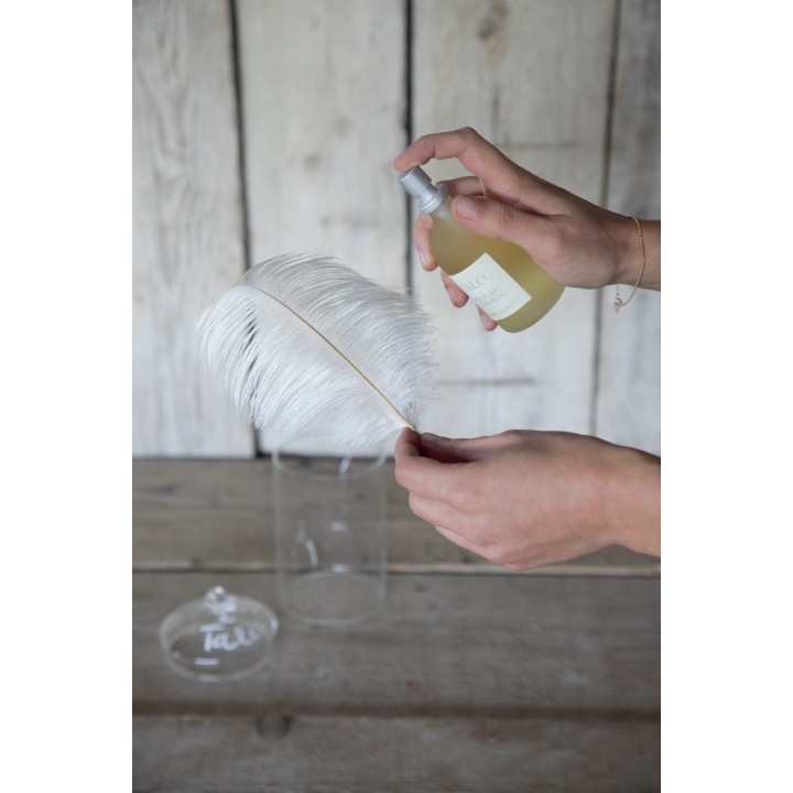 Plume d'autruche blanche 18 cm