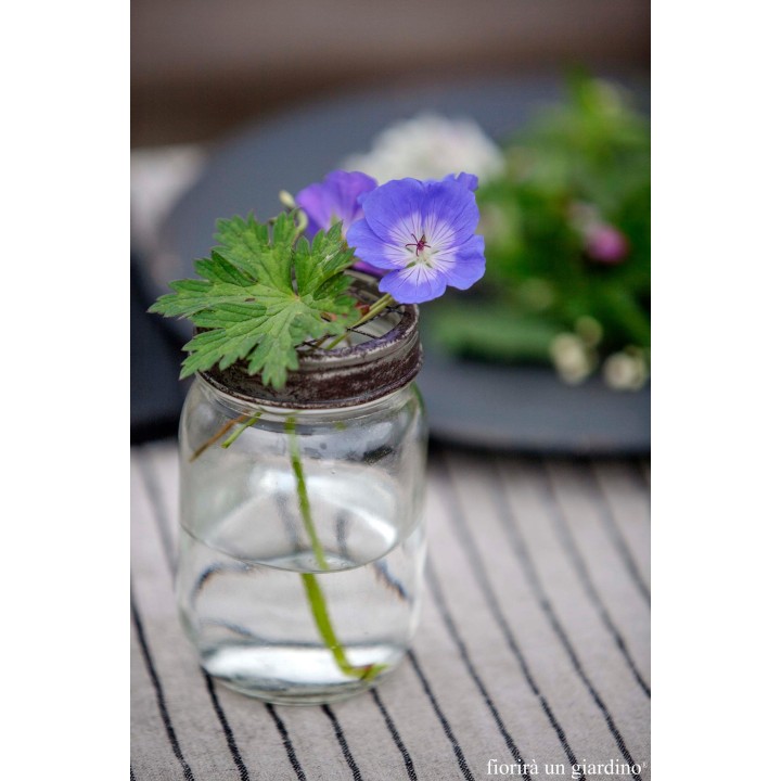 Vase en verre avec couvercle en grillage d7 h13 cm
