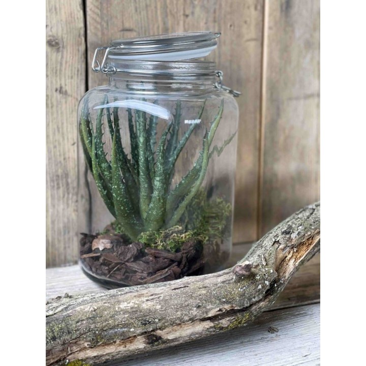 Glass jar with clip 550ml 15 x 15 h26 cm