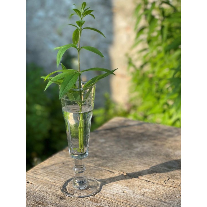 Slim stem glass necklace d6.5 h19 cm