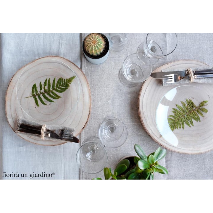 Plat en verre transparent borosilicate