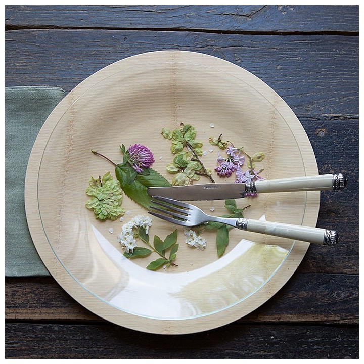 Piatto in vetro borosilicato temperato d30 cm