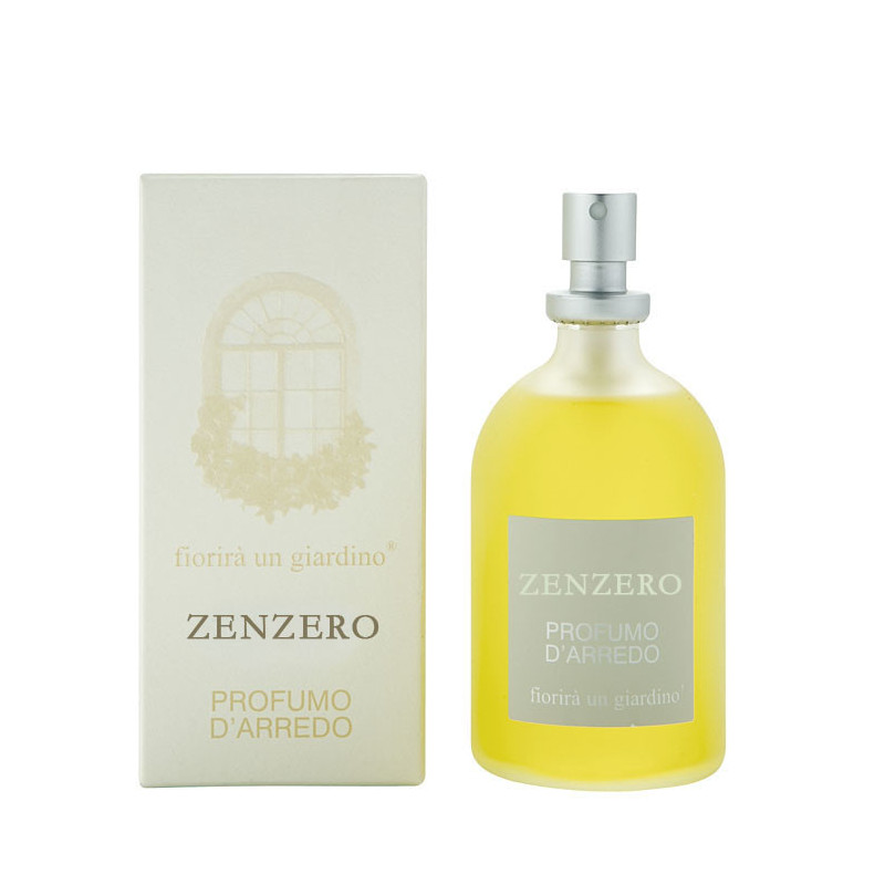 Profumo d'arredo zenzero v110 ml