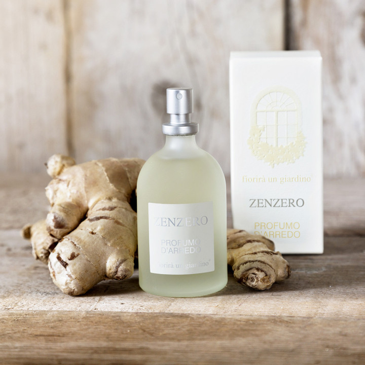 Parfum d'ambiance gingembre v110 ml
