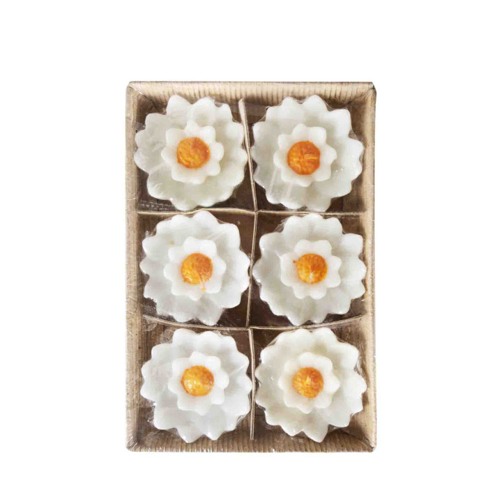 Paquet de 6 bougies forme fleur orange et blanche d8cm