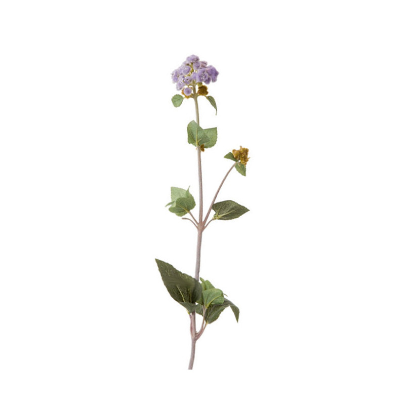 Ageratum branch lavender color h50 cm