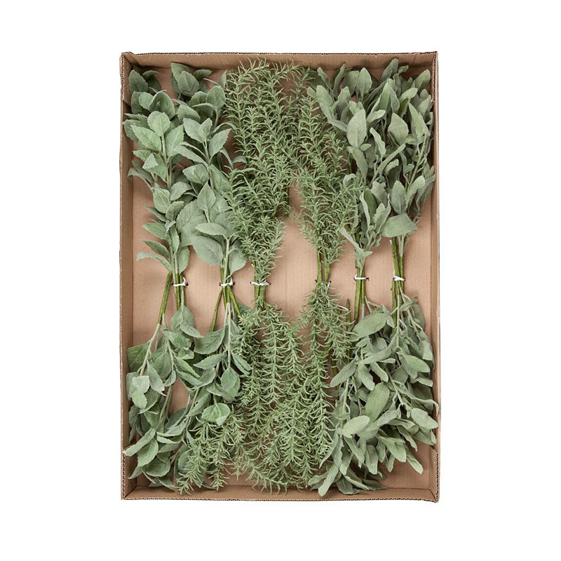 Pack of 36 mixed garden herbs h28 cm