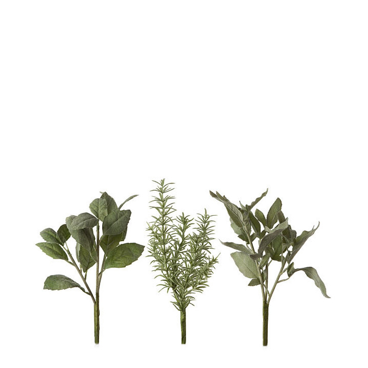 Pack of 36 mixed garden herbs h28 cm