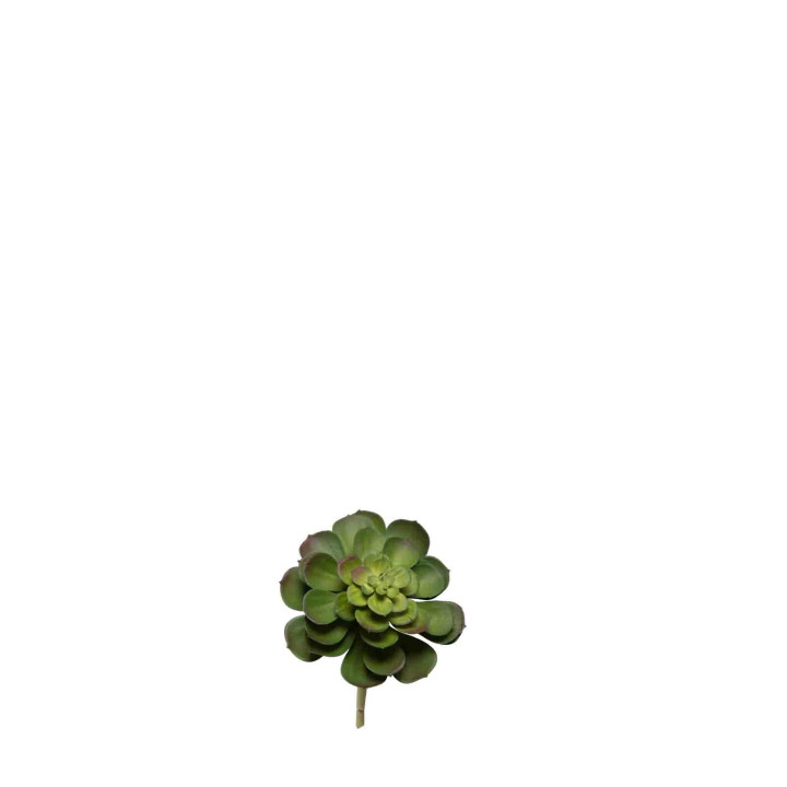 Artificial succulent echeveria on pick h16cm