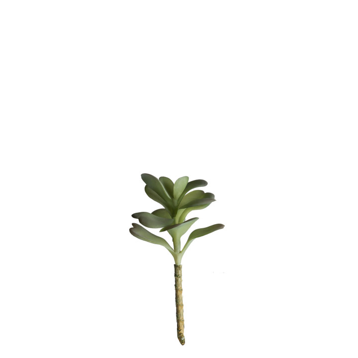 Plante artificielle succulente rose du desert h13 cm