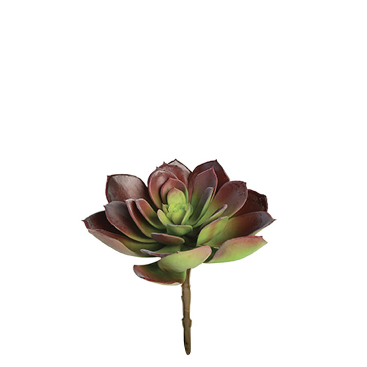 Echeveria artificielle sur pick d19 cm