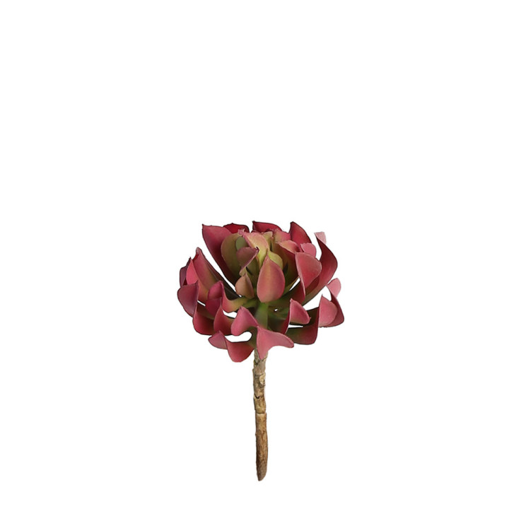 Artificial bordeaux succulent crassula h16 cm