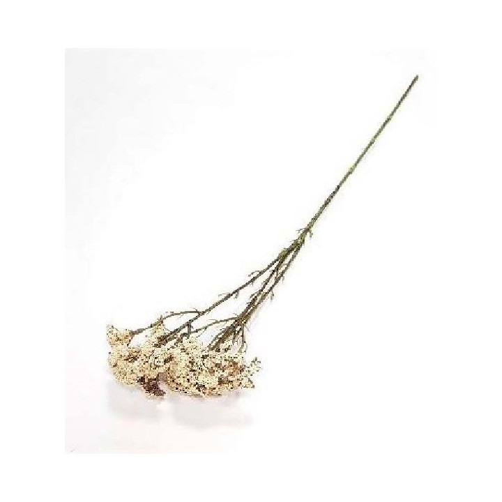 Plante artificielle de gipso couleur creme h70 cm