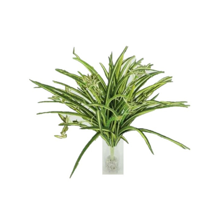 Artificial plant falangium h53 cm
