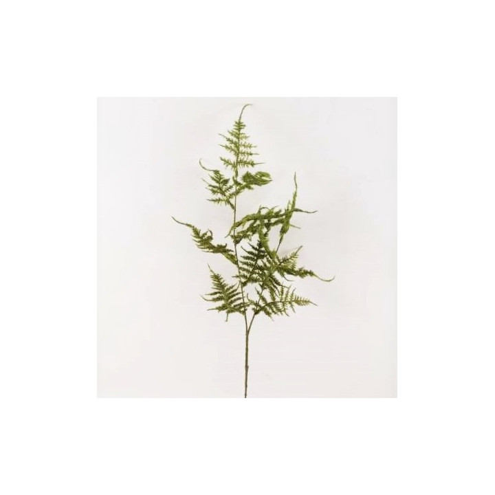 Pianta artificiale asparagus verde h70 cm