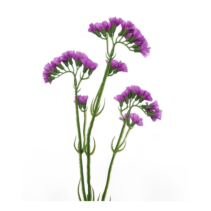 Branche artificielle de limoniums lilas h63 cm