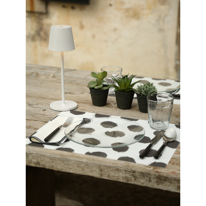 Mix of 12 succulent plants with black vase h12 cm