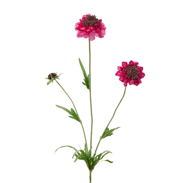 Pianta artificiale scabiosa fucsia h65 cm