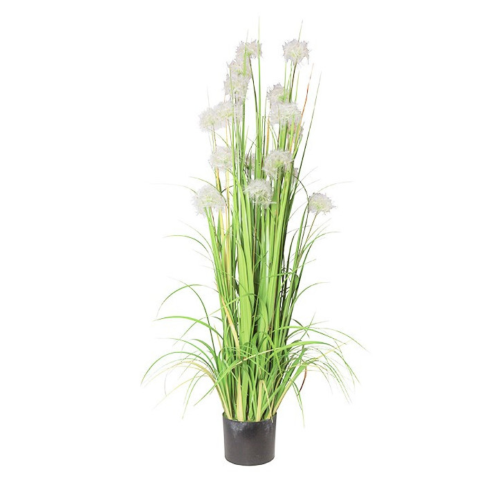 Vaso soffioni bianchi h152 cm