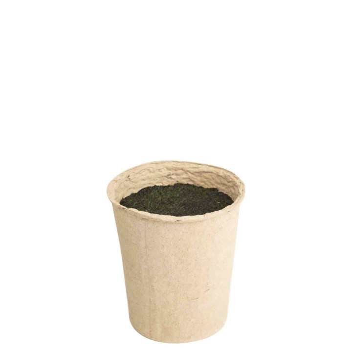 Pressed paper vase with styrofoam and artificial moss d11 h13 cm