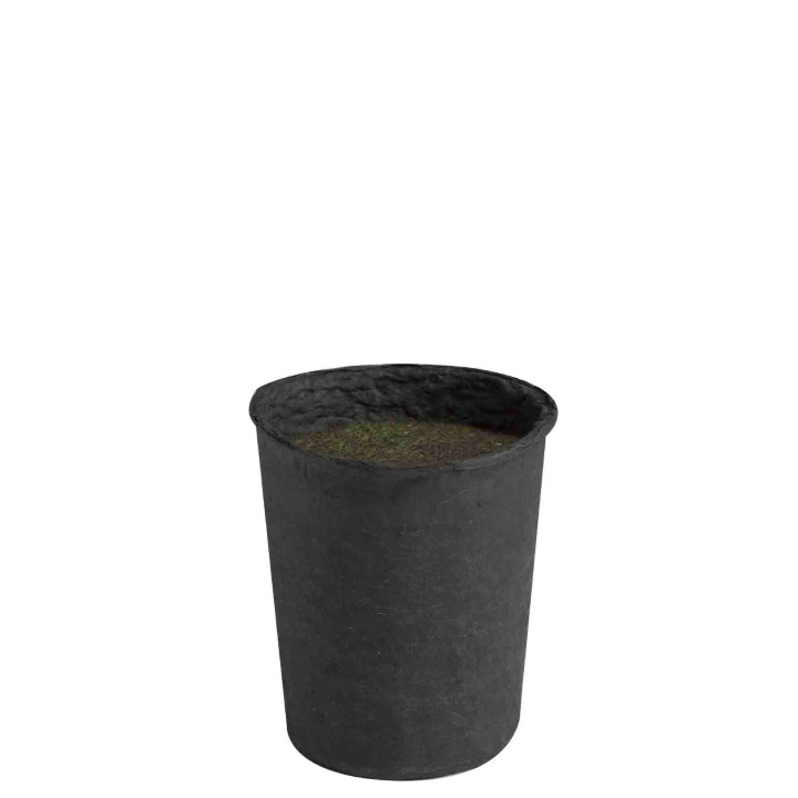 Black pressed paper vase with styrofoam and artificial moss d11 h13 cm