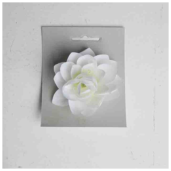 Lotus flower with drops