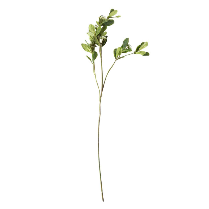 Fiore artificiale phittosporum bianco h80 cm
