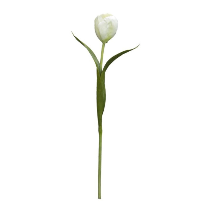 White artificial tulip