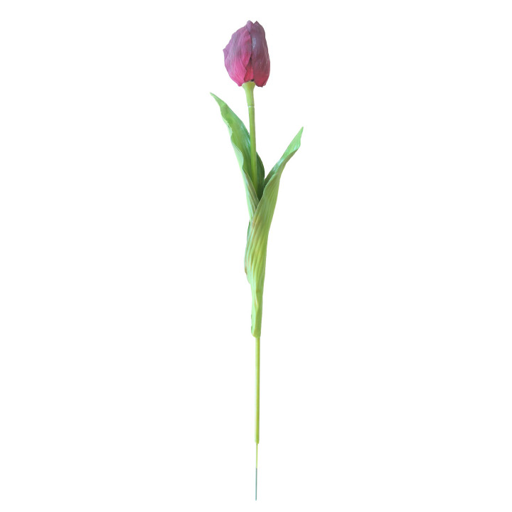Purple tulip h50 cm