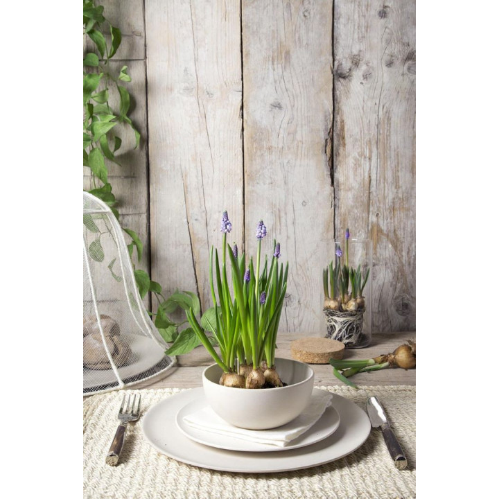 Assiette plate creme en melamine ec.d27.5 cm