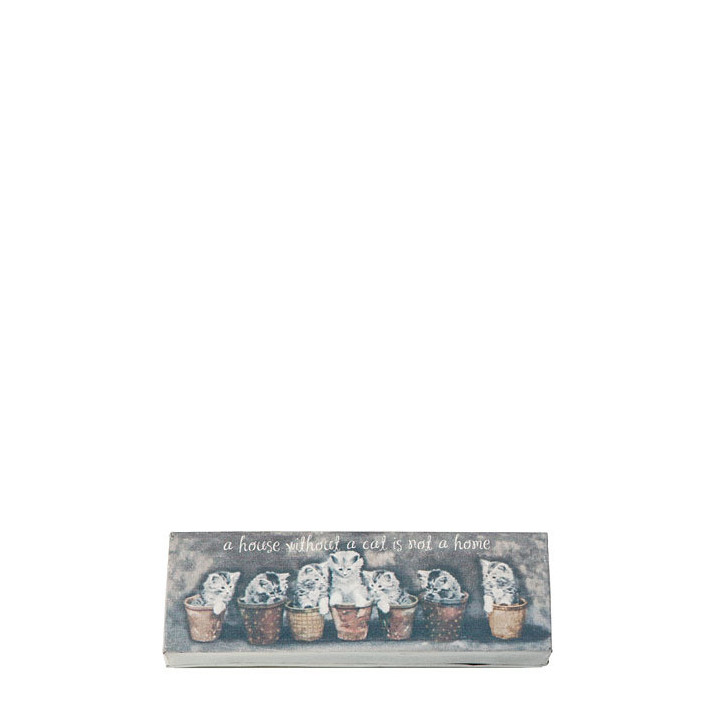 Box latta vintate gattini nei vasi 7.5 x 23.5 h4 cm
