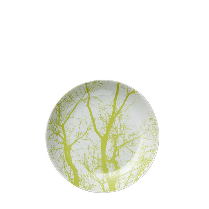Assiette creuse motifs branches vertes d21 cm