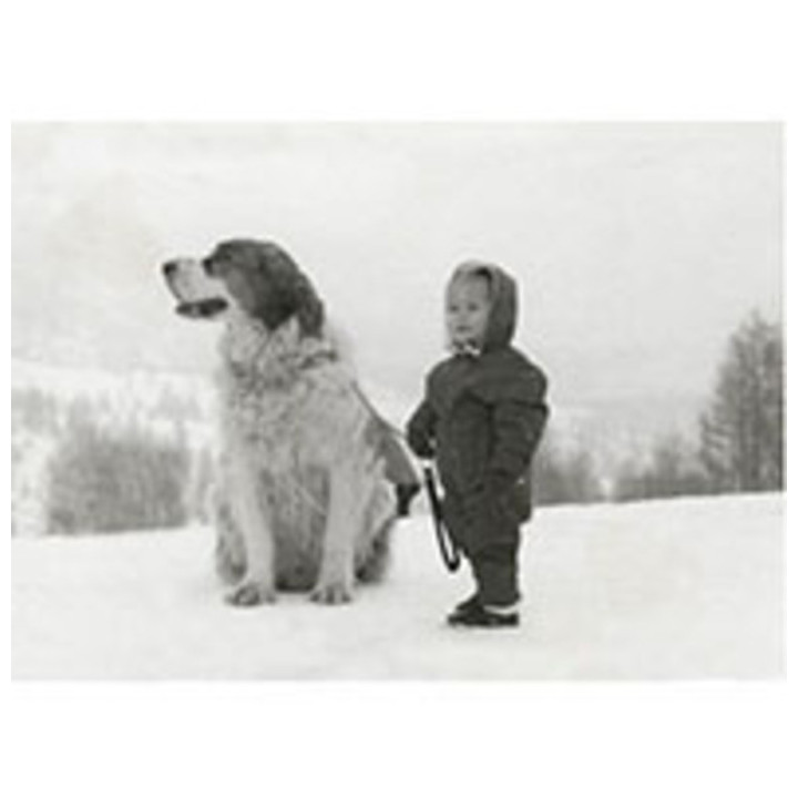 Child with st bernard dog canvas 25x35 cm