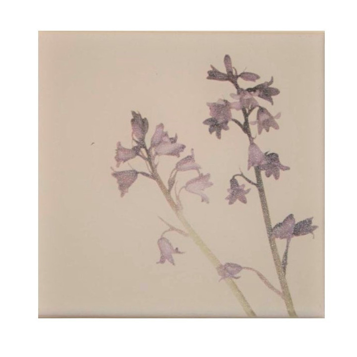 Quadro campanelle lilla 20 x 20 cm