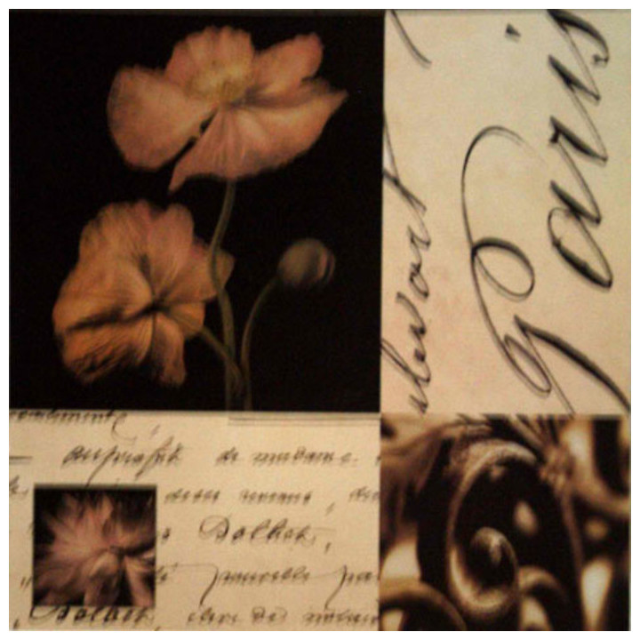 Tableau paris et coquelicot 50x50 cm