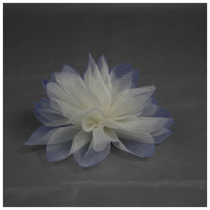 Fleur legere blanche