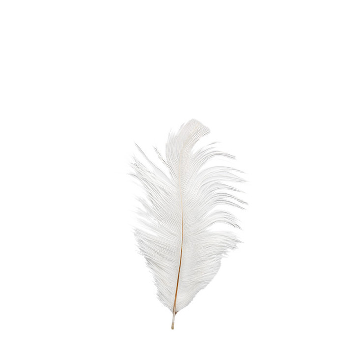 White ostrich feather 1 8cm