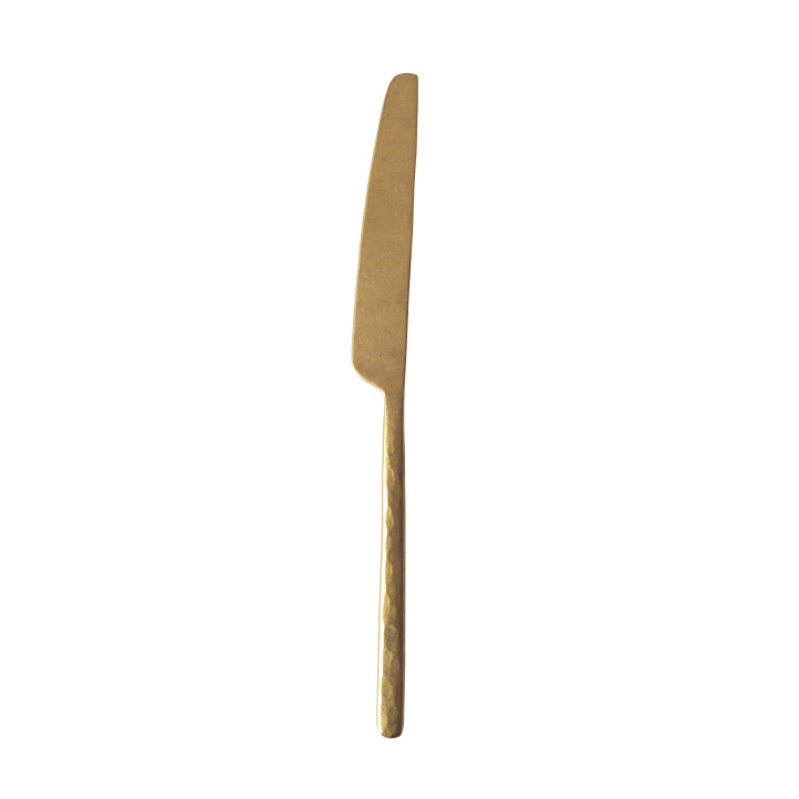 Couteau acier inox manche forge dore h21 cm
