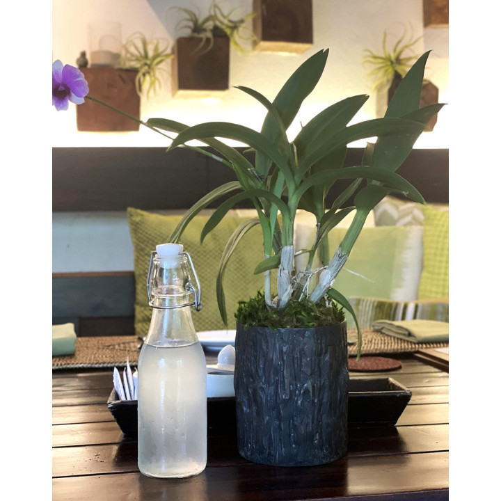 Bouteille en verre avec bouchon hermetique