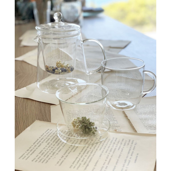 Borosilicate glass teapot for infusions v1000 ml d 12.5 h 16 cm