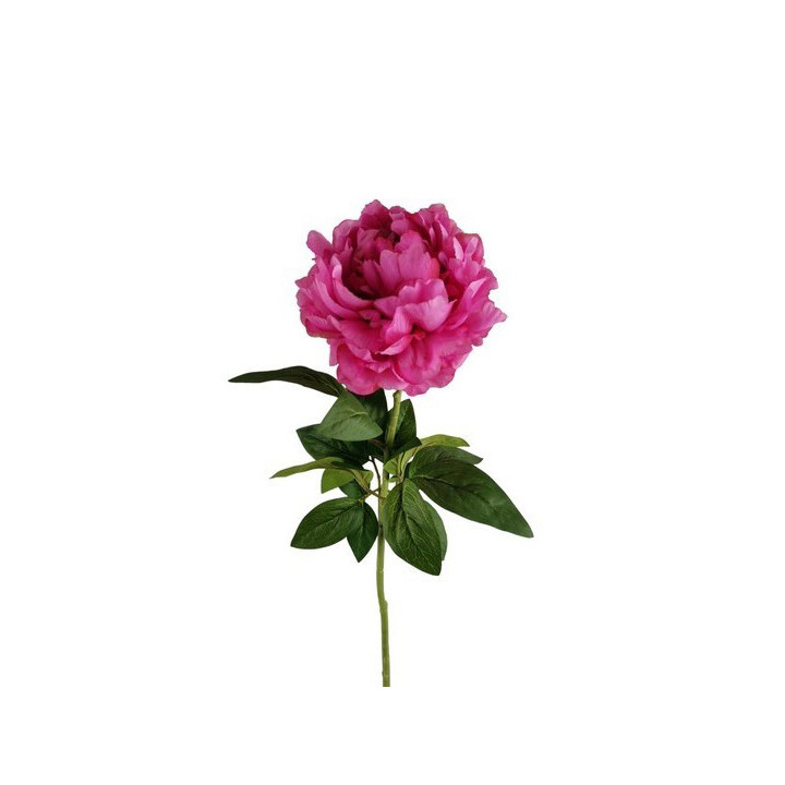 Fuchsia peony branch