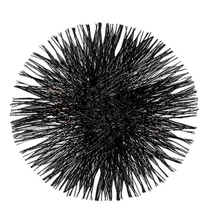 Black dandelion underplate d40 cm