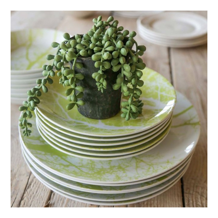Succulent falling plant with black vase h11cm
