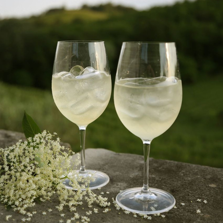 Methacrylate borgogna goblet h22.5 cm