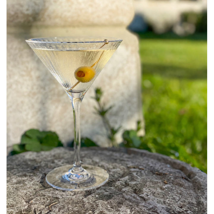 Calice coppa cocktail in metacrilato righe sottili v250 ml d11.8 h18 cm