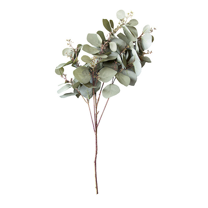 Green eucalyptus branch h120 cm
