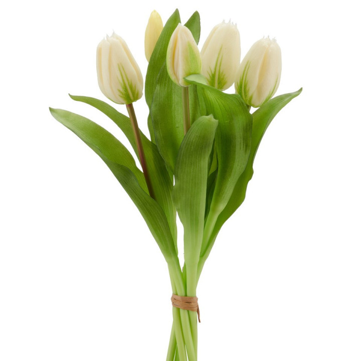 Bouquet de 5 tulipes blanches